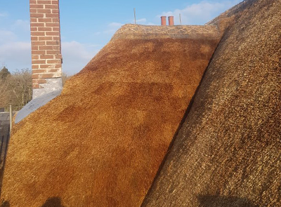 RJ Matravers Thatched roof with chimney