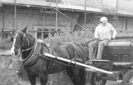 RJ Matravers Traditional Thatching, Horse & Cart